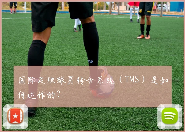 国际足联球员转会系统（TMS）是如何运作的？