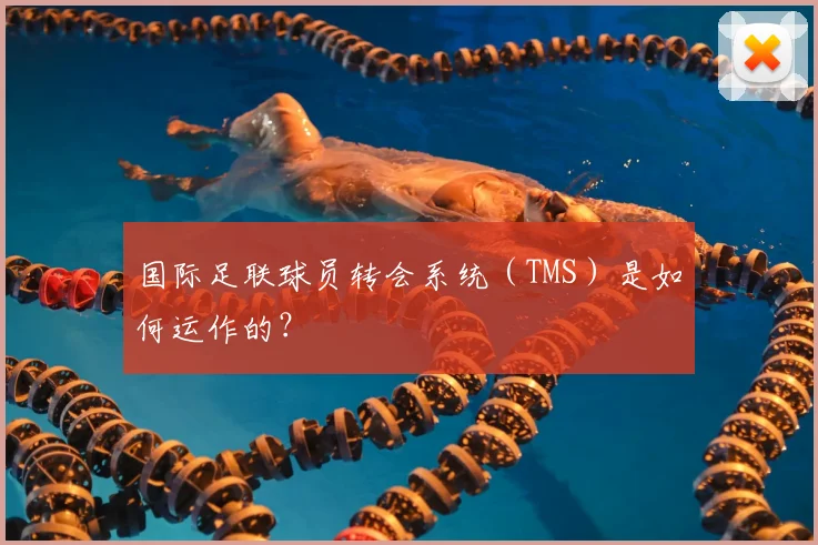 国际足联球员转会系统（TMS）是如何运作的？