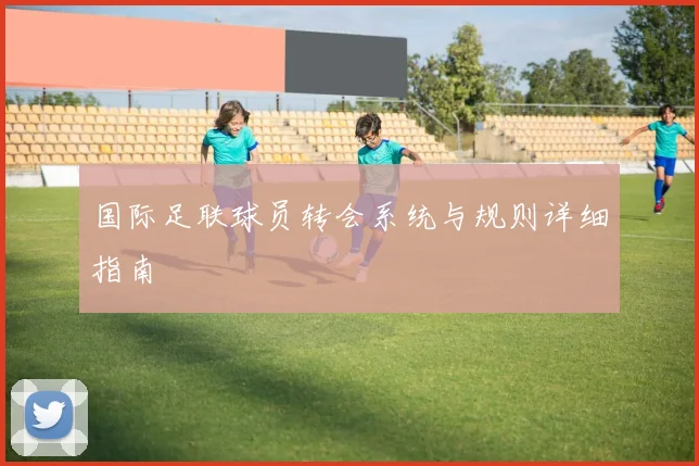 国际足联球员转会系统与规则详细指南