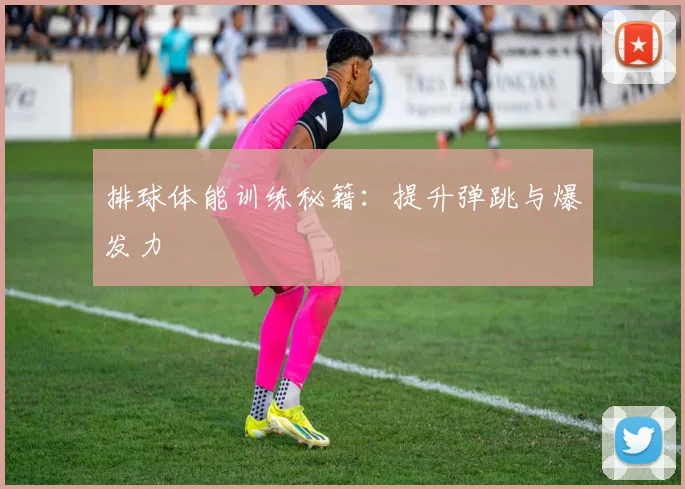 排球体能训练秘籍：提升弹跳与爆发力